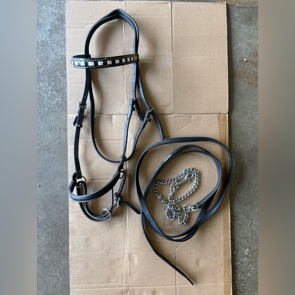 Walking horse saddle seat show halter